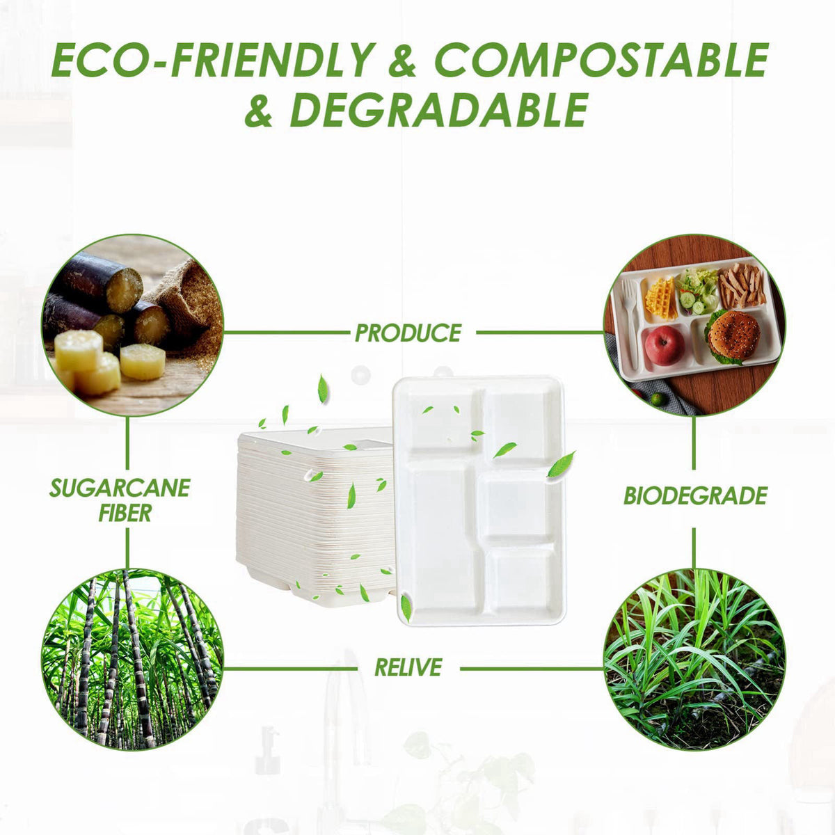 Vplus Compostable 5 Compartment Paper Plates, 100 Pack, 12.5 x 8.6 inch – back view and specifications