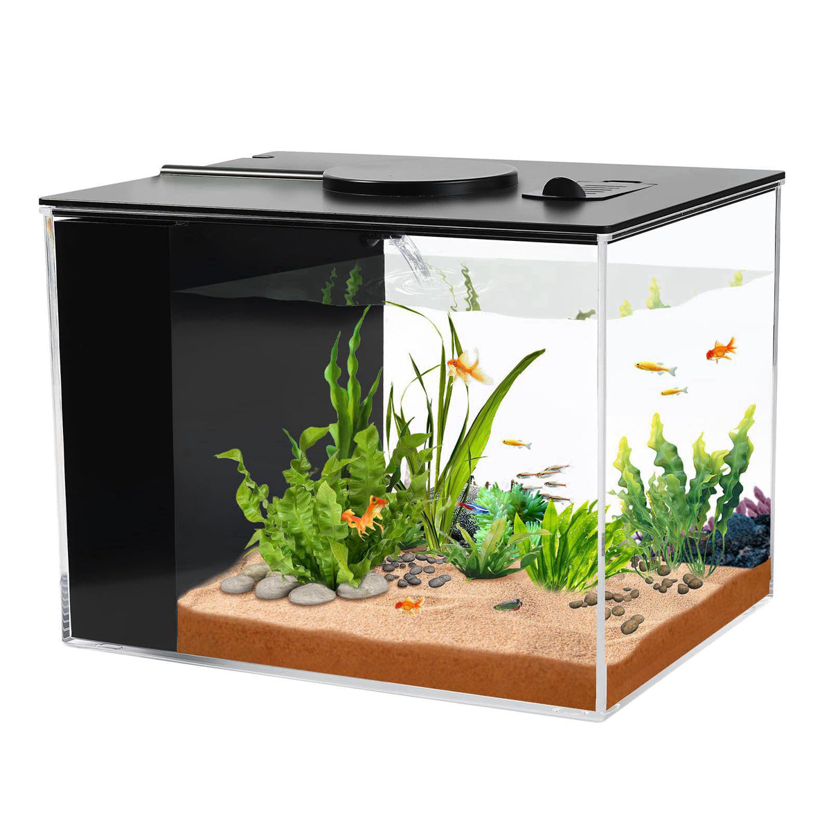AQUANEAT Fish Tank, 1 Gallon Betta Fish Tank, Small Aquarium Kit with LED Light and Water Filter Pump – product photo (A