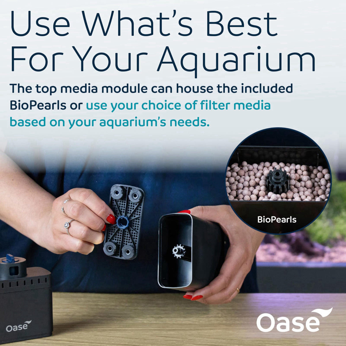OASE – Filters on display