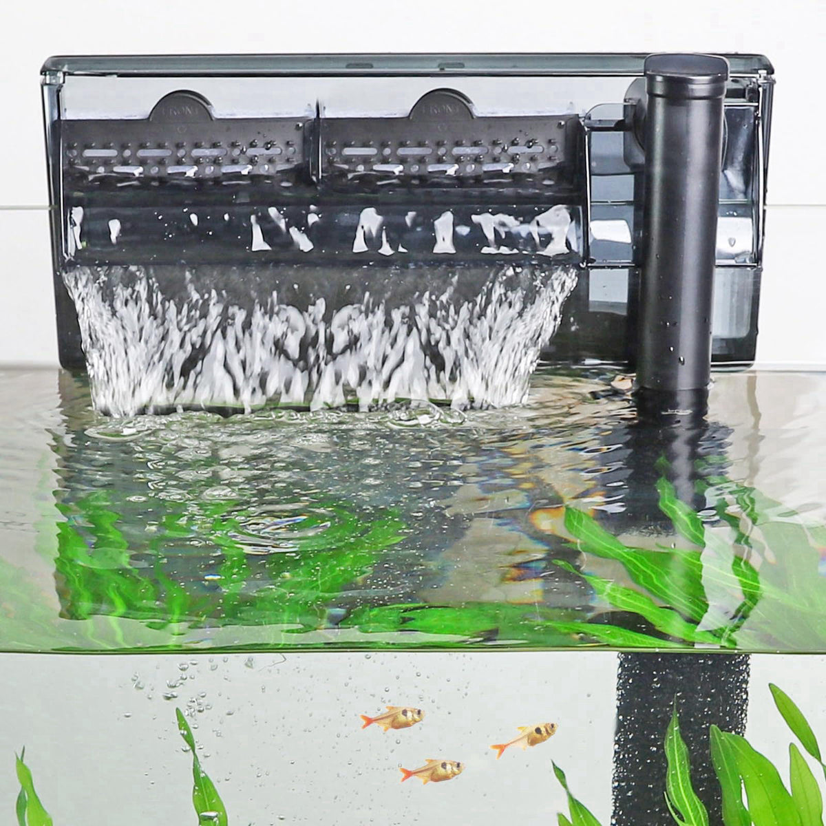 hygger – Filters on display