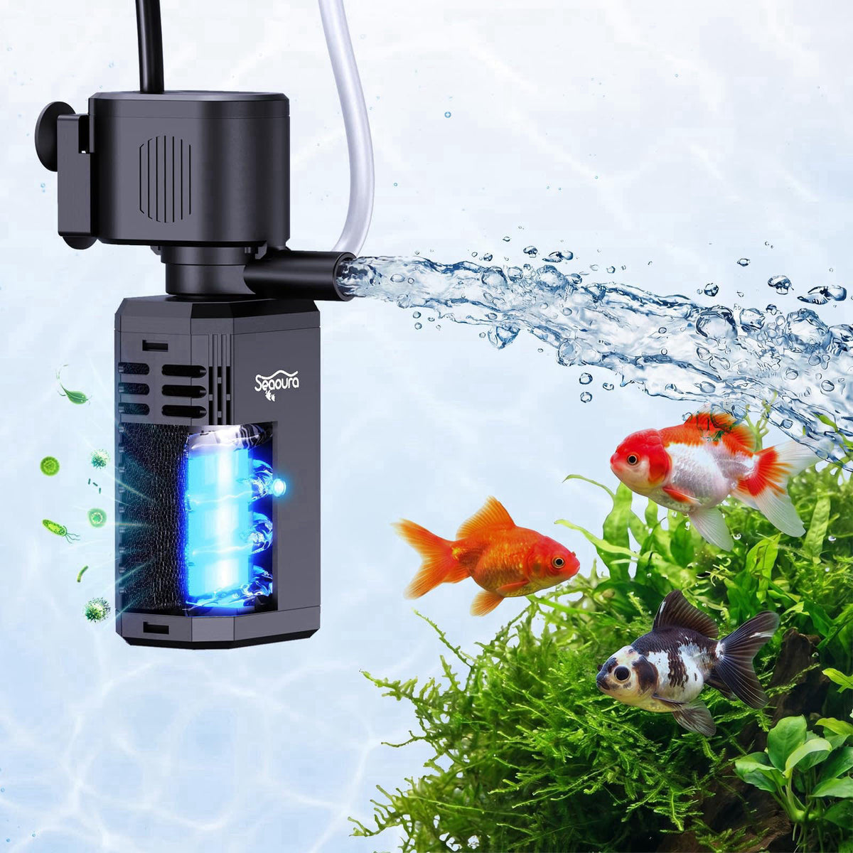 SEAOURA – Filters on display