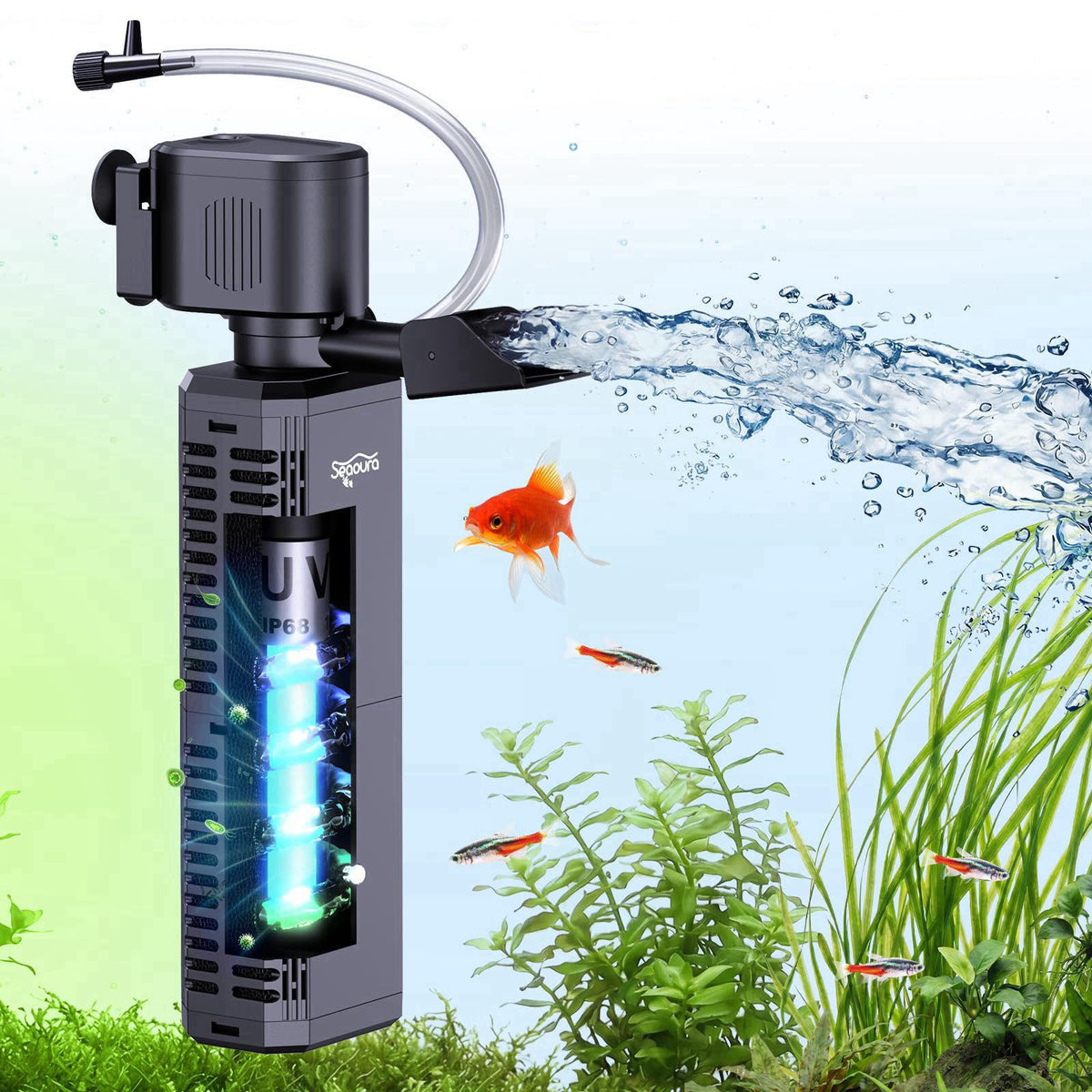SEAOURA – Filters on display