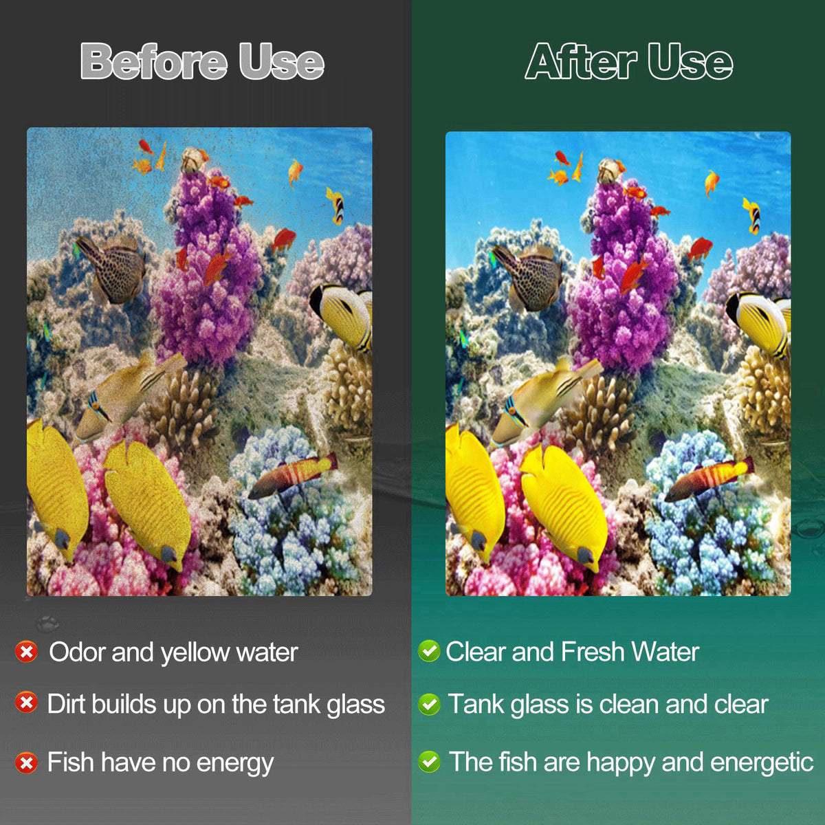 xbbwmrs – Filter Accessories on display