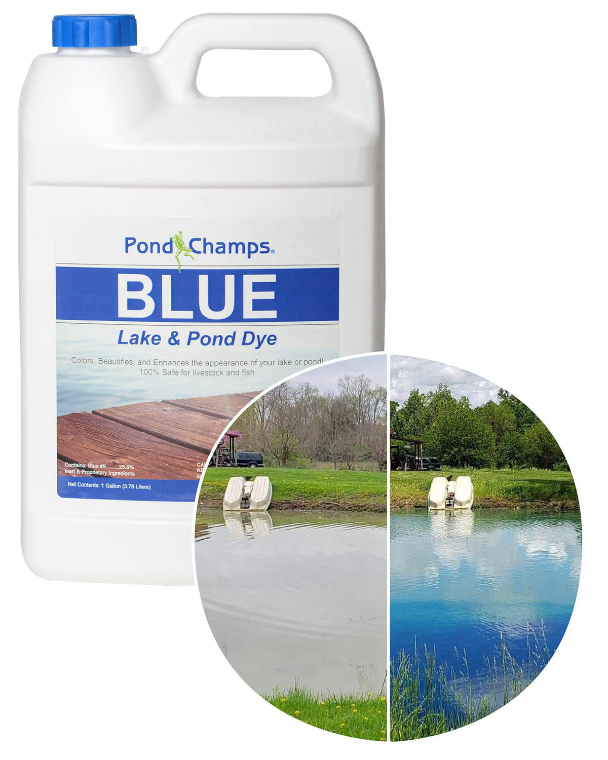 Pond Champs Blue Lake and Pond Dye - One Gallon of Professional Lake & Pond Dye - Treats Up to 1 Acre - Royal Blue Color