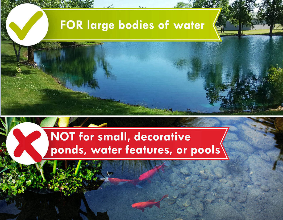 Pond Champs Blue Lake and Pond Dye - One Gallon of Professional Lake & Pond Dye - Treats Up to 1 Acre - Royal Blue Color