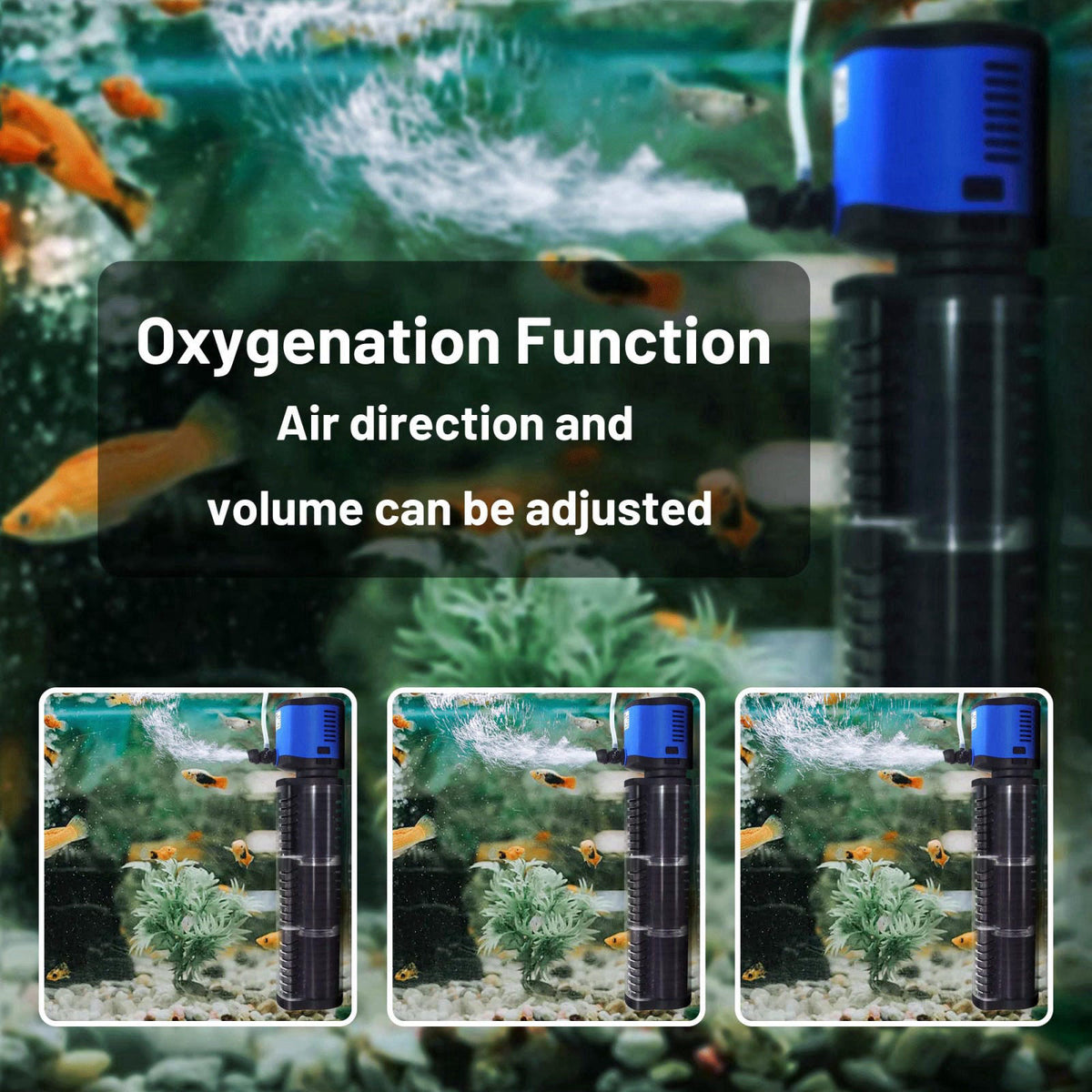 TARARIUM – Filters on display