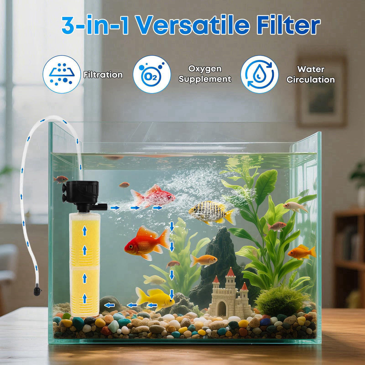 Donhallstar – Filters on display