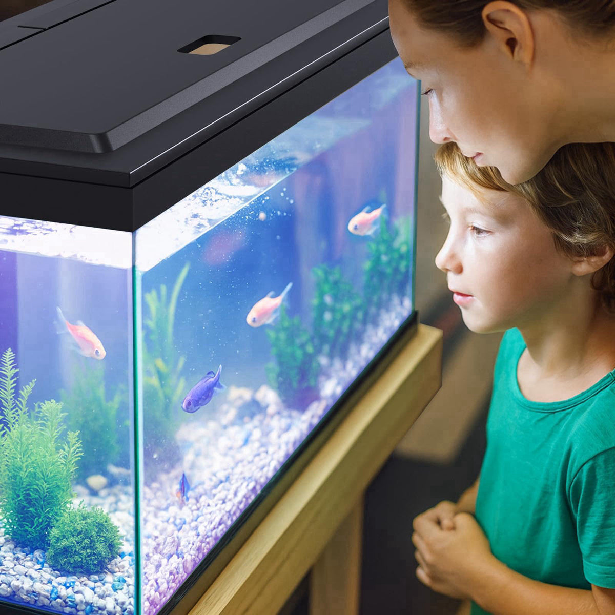 Blosail LED Aquarium Hood, Colored Lights, Fits 24" Framed Aquariums, Black – alternate angle