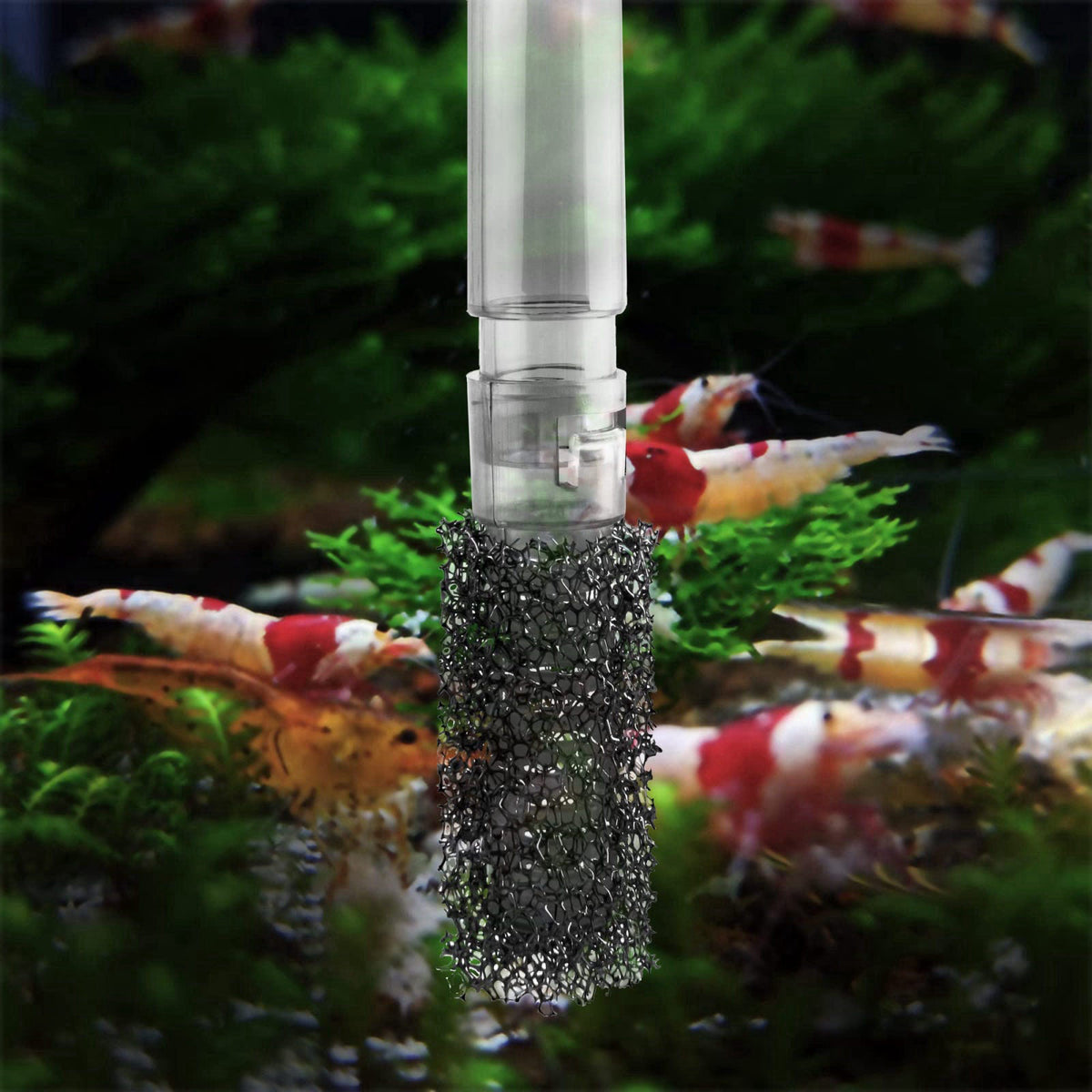 Aquatop – Filters on display