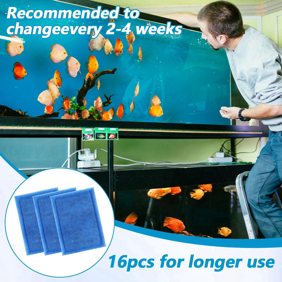 zisiueel 16Pcs 10-20 Gallon Aquarium Filter Replacement Compatible with EZ-Change #2 – back view and specifications
