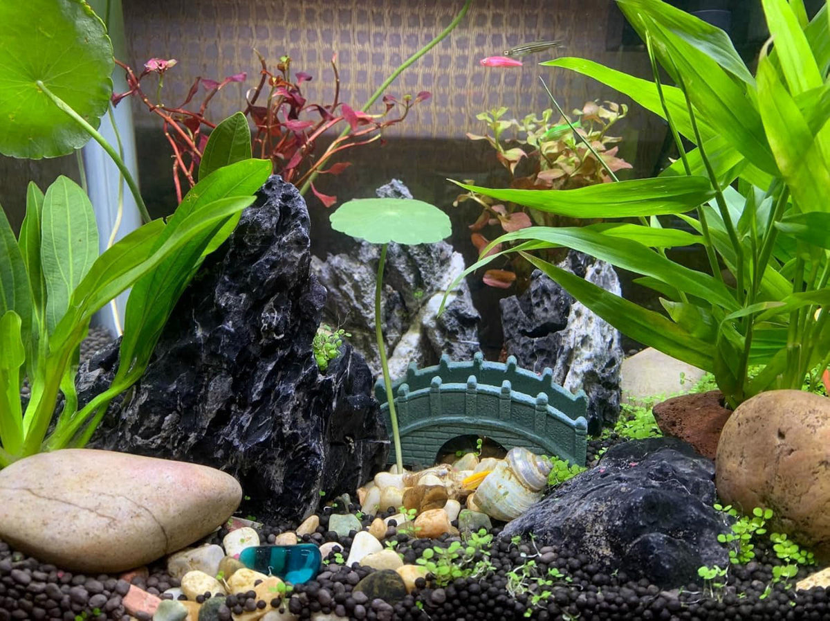Unocho – Decorative Rocks on display
