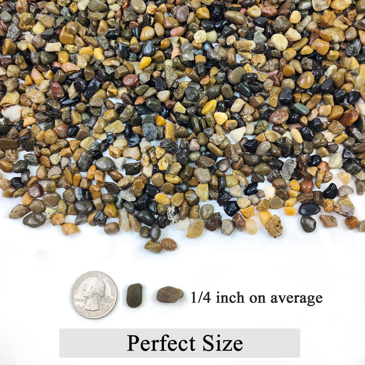FANTIAN – Gravel on display