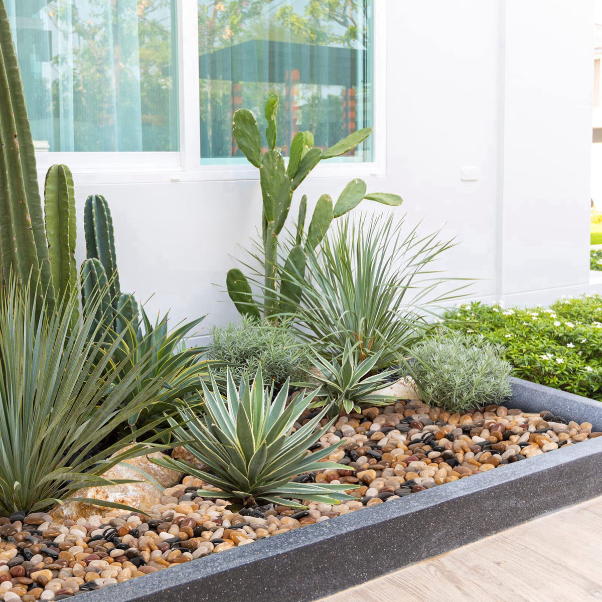 GASPRO – Pebbles on display