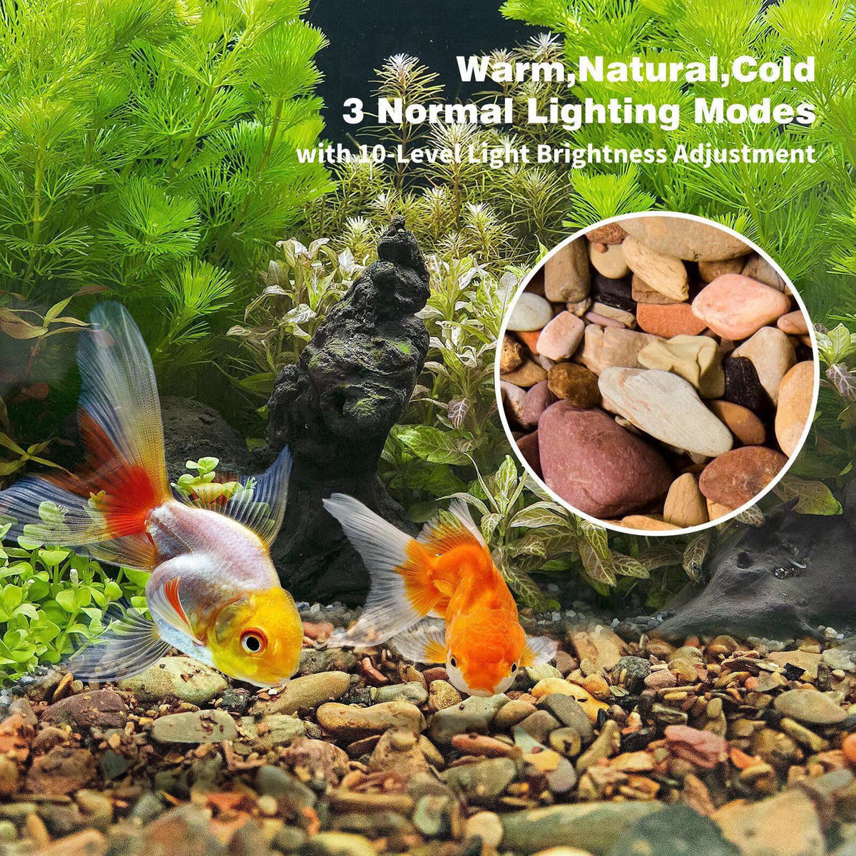 WDEFUN Aquarium Gravel River Rock, Natural Polished Mixed Colorful Stones, 10 LBS, for Plant Aquariums, Landscaping, Vas