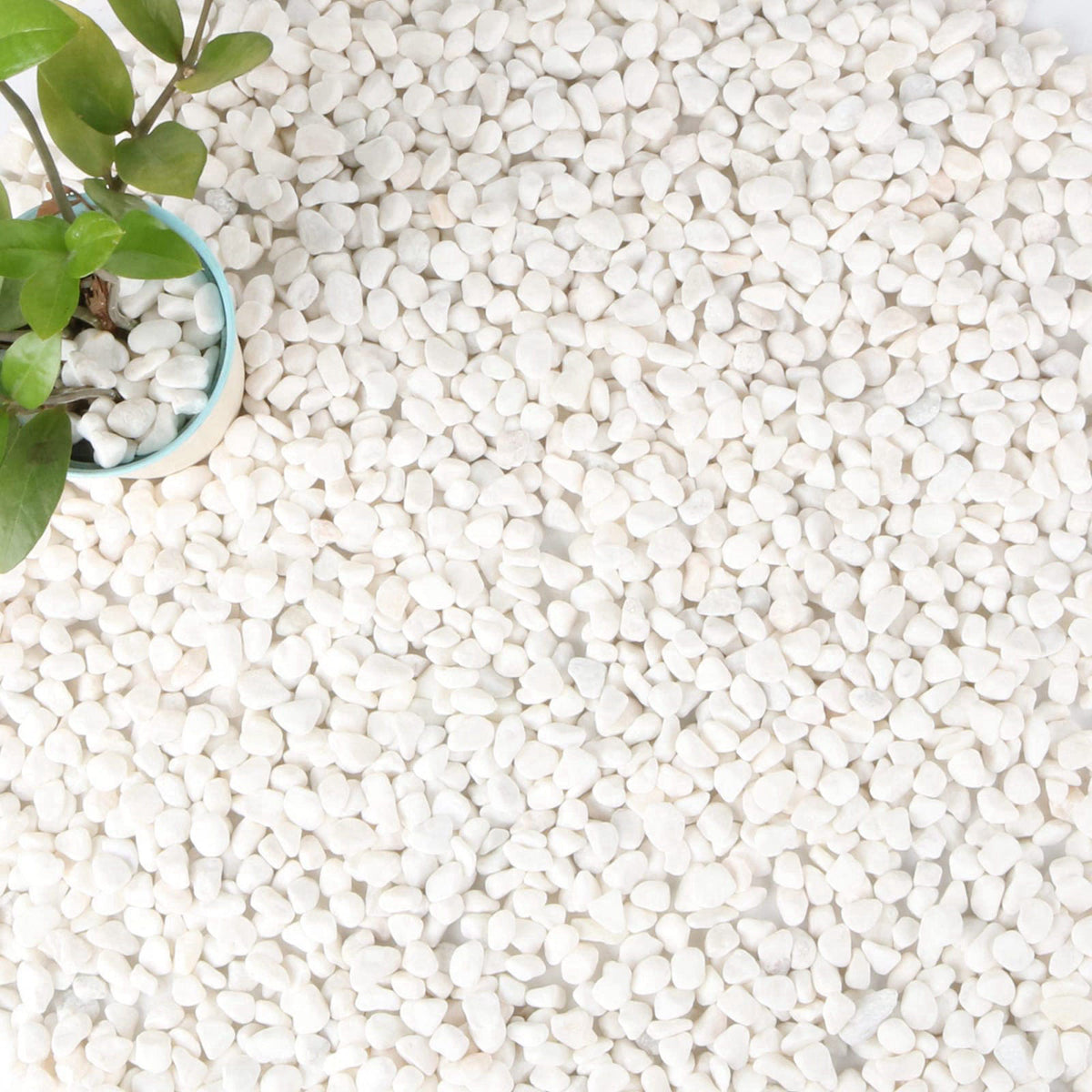 Anothera 18-lb Bulk Bag White Pebbles 1/2" Size Aquarium Gravel Outdoor Garden Paving Plant Decorative Stones…