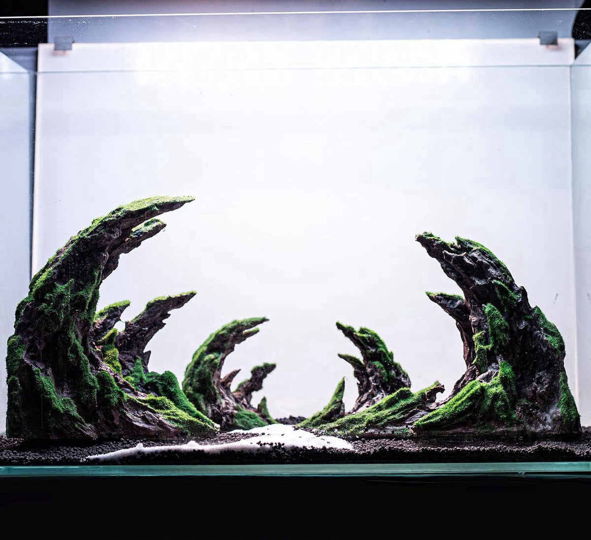 Novelsite Fish Tank Accessories, Aquarium Decorations, Scenery, Rock Ornaments - Create Aquatic Beauty with Premium Aqua