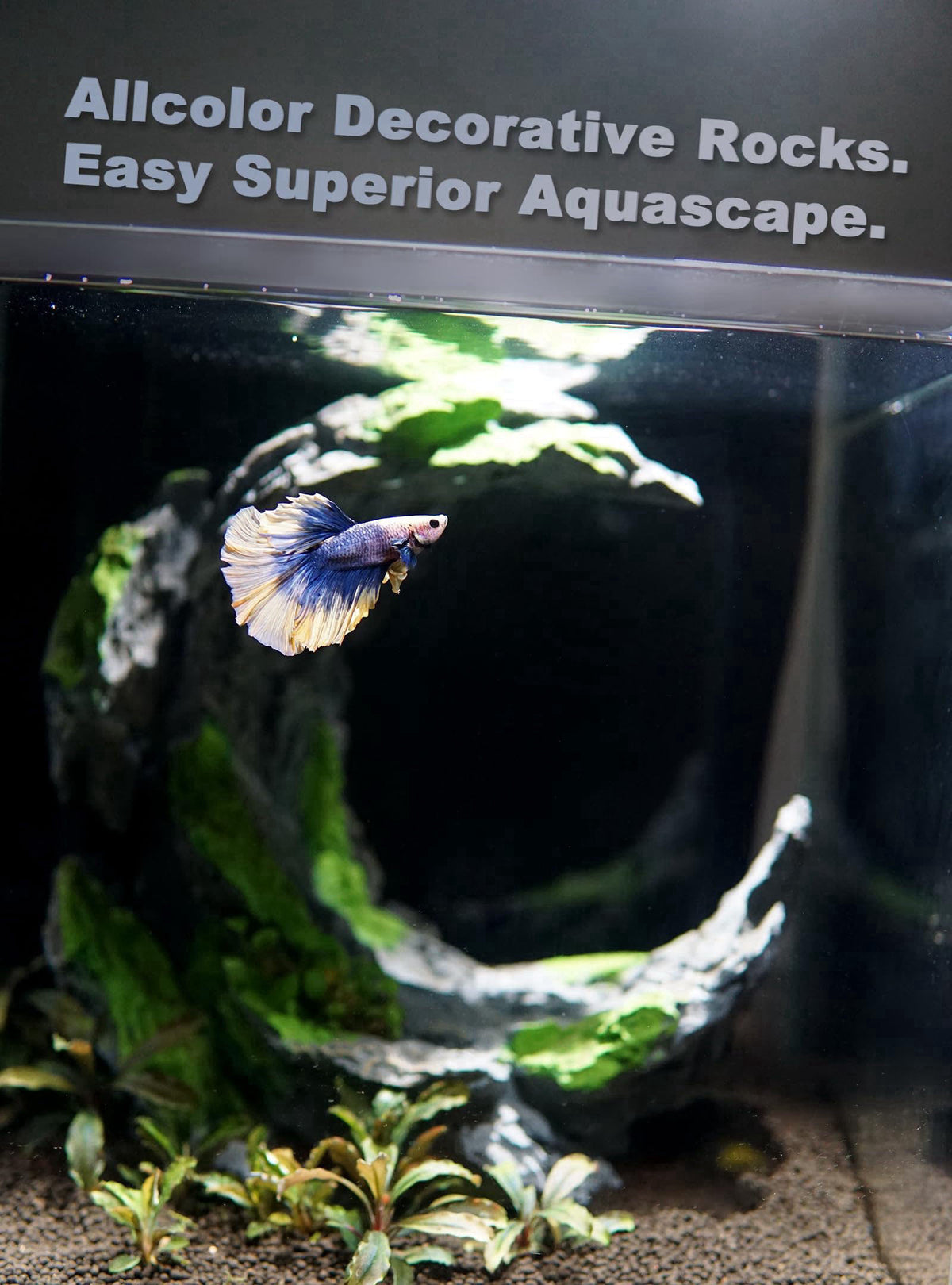 Allcolor Aquarium Rock Decor, Moon Valley Aquascape for 10+ Gallon Tanks – packaging and label