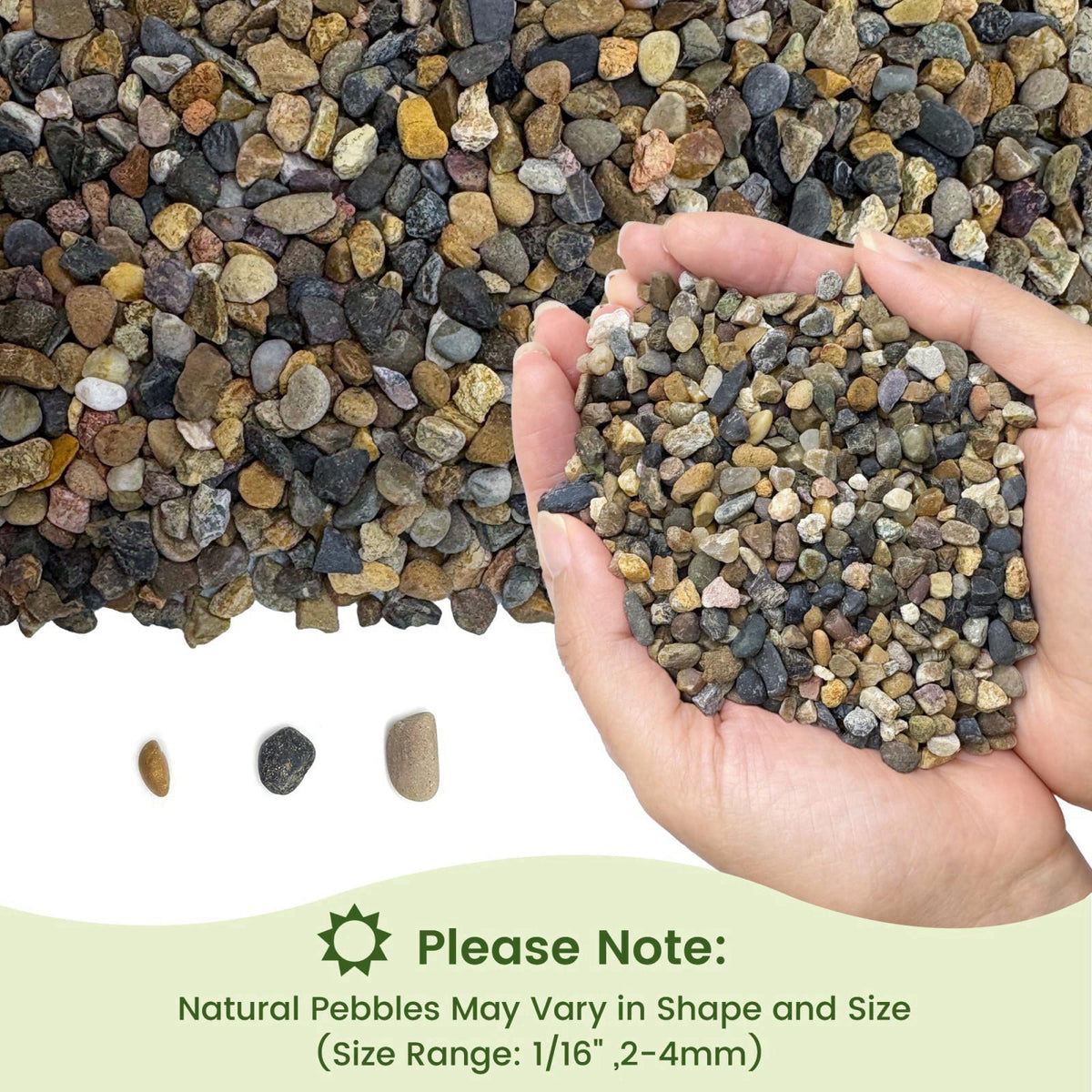 SIDONG 10 lbs Aquarium Gravel, 1/16 Inch Pea Gravel for Fish Tank – packaging and label