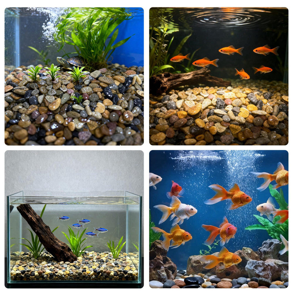 SIDONG 10 lbs Aquarium Gravel, 1/16 Inch Pea Gravel for Fish Tank – full view