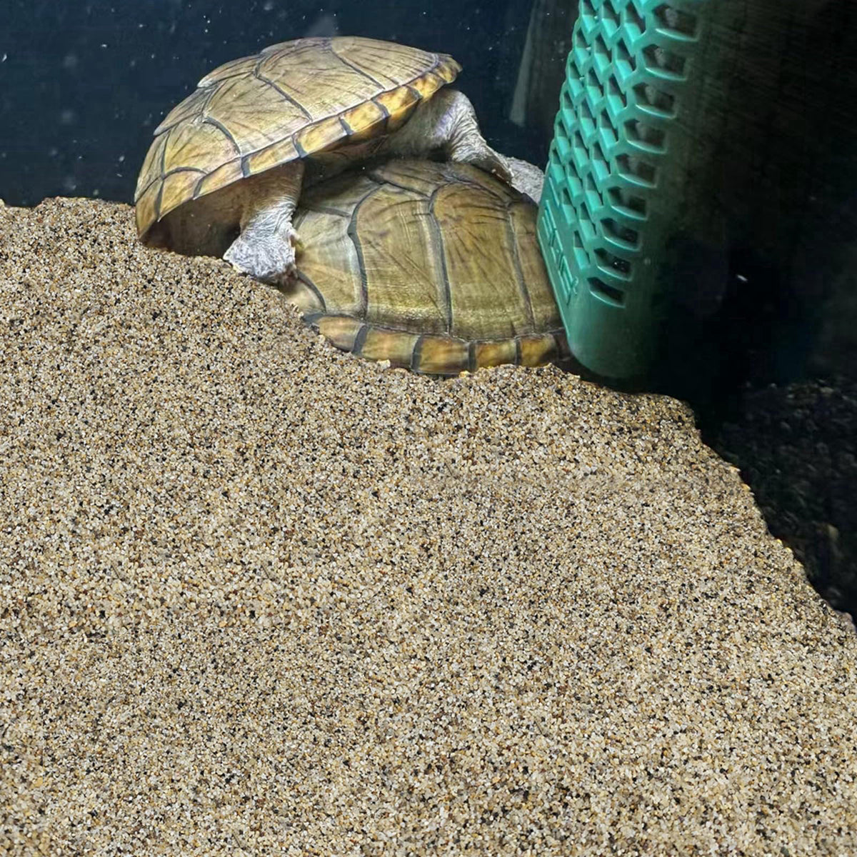FANTIAN Aquarium Sand for Freshwater Tank, 20 lbs Turtle Sand – back view and specifications
