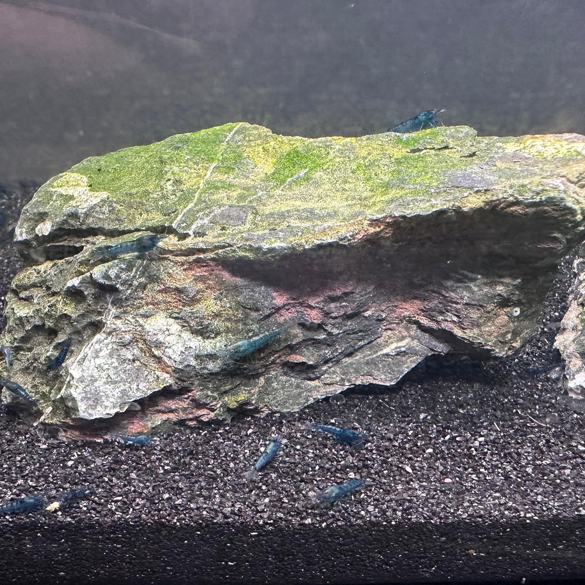 YISZM Aquarium Sand, 20lbs Black Fish Tank Sand, Aquarium Gravel Substrate – full view, size 3-5"/5-7" 1/8