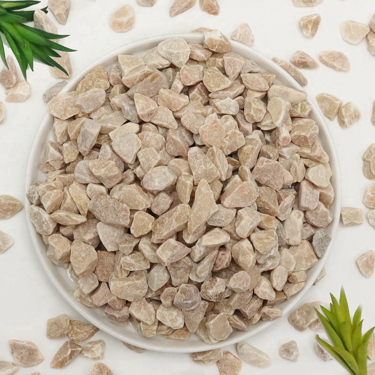 Lechloris 10lb Pea Gravels Natural River Rocks, Decorative Gravels for Plants- Small Pebbles-Ideal for Aquarium, Fish Ta