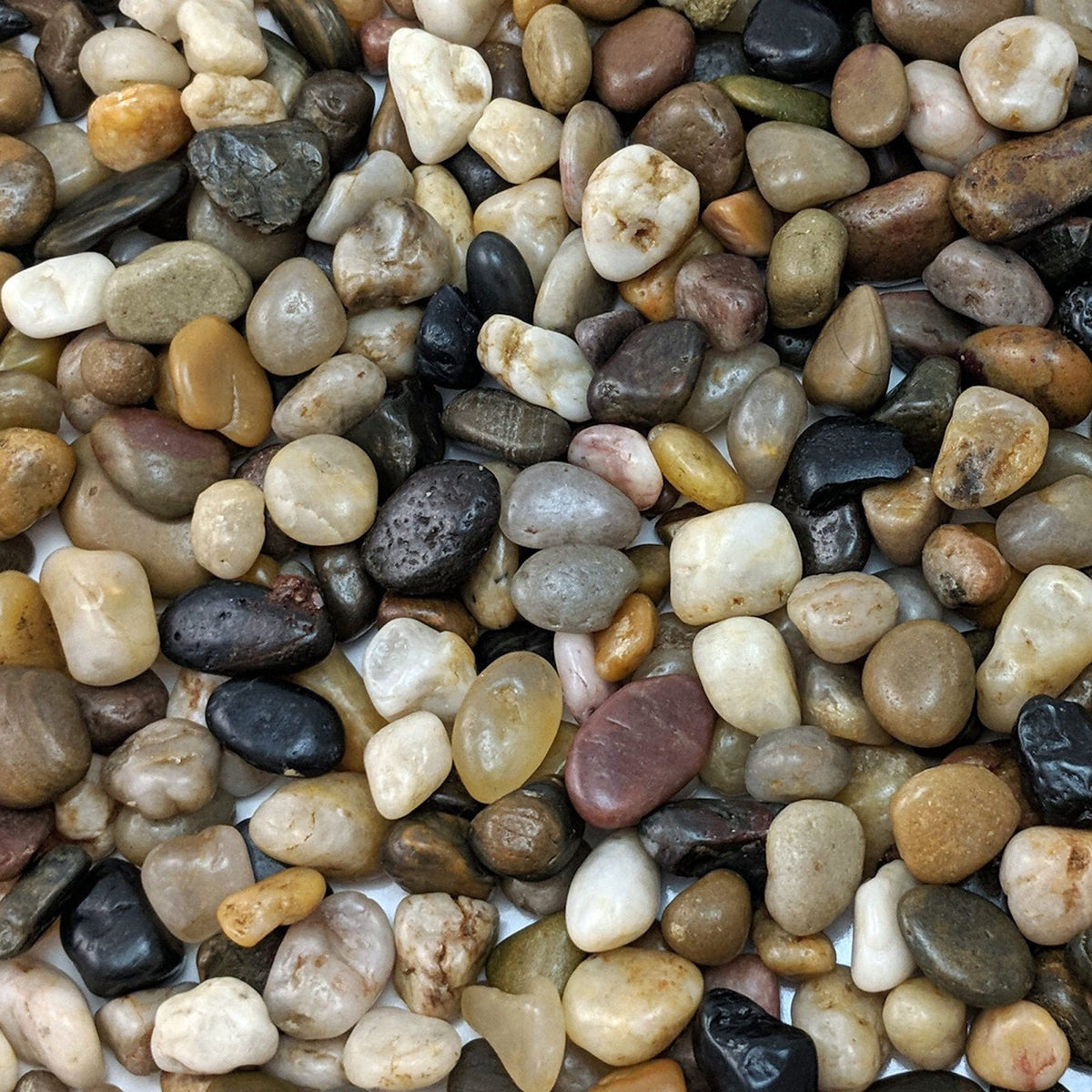 Midwest Hearth Decorative Mixed Pebbles for Plants & Terrariums | Polished Natural Stones | 3/8" Size (10-lb Bag)