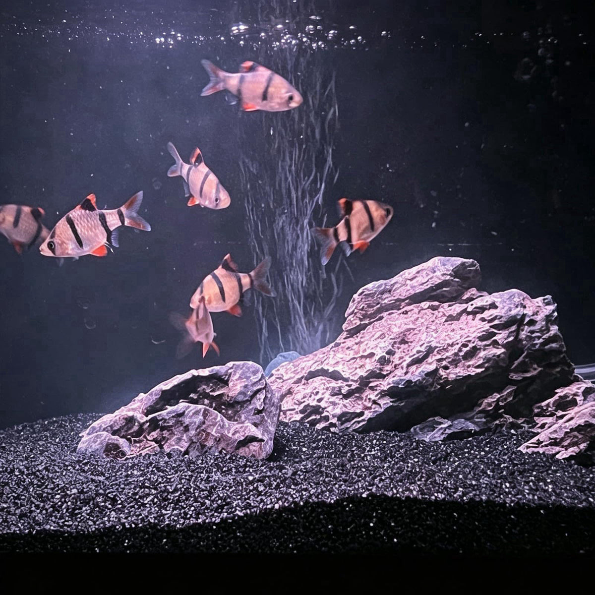 SHIZWU Black Aquarium Sand, 20lbs Fish Tank Sand Mini Gravel Substrate – close-up detail in Black