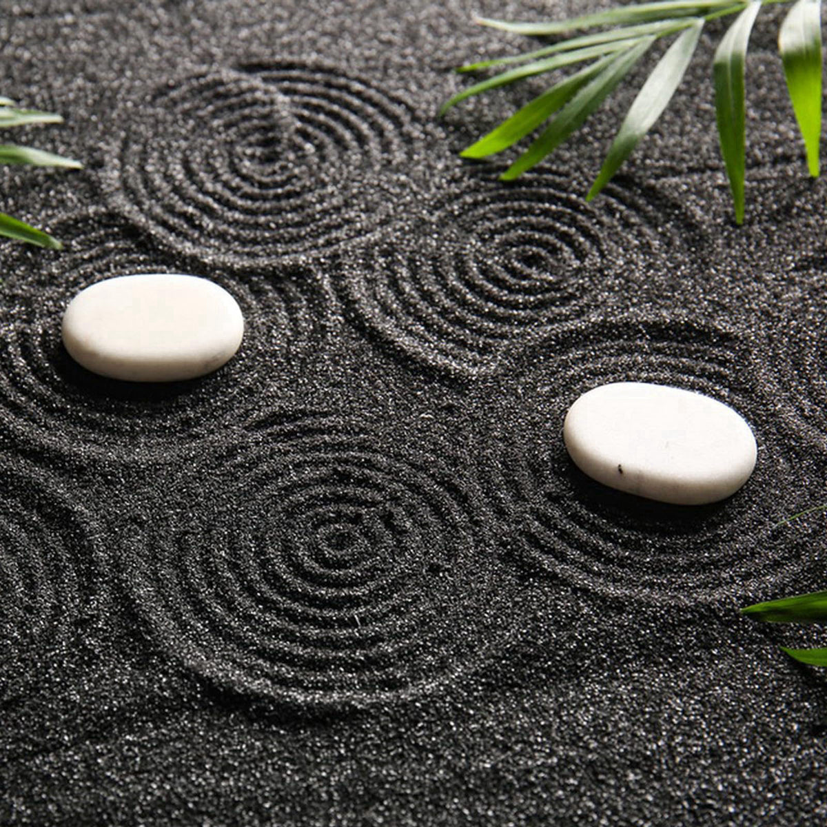SHIZWU Black Aquarium Sand, 20lbs Fish Tank Sand Mini Gravel Substrate – back view and specifications