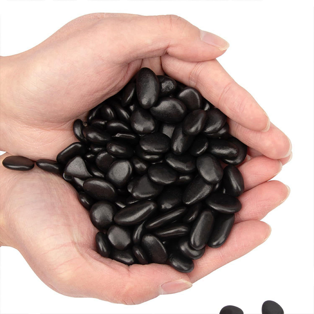 BLQH – Gravel on display
