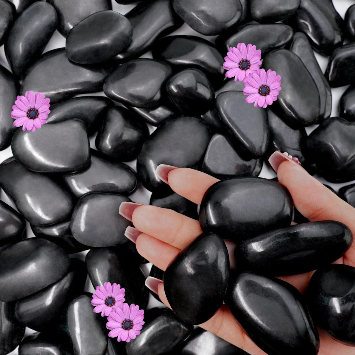 NUPICK 16lb Black River Rocks, 1-2 Inch Pebbles for Indoor Plants – product photo (Pebbles)