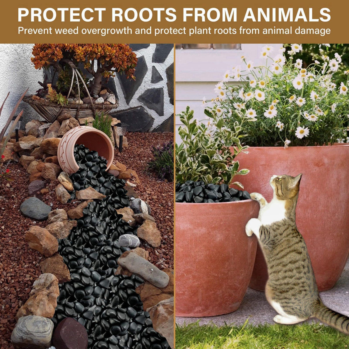 NUPICK 16lb Black River Rocks, 1-2 Inch Pebbles for Indoor Plants – packaging and label