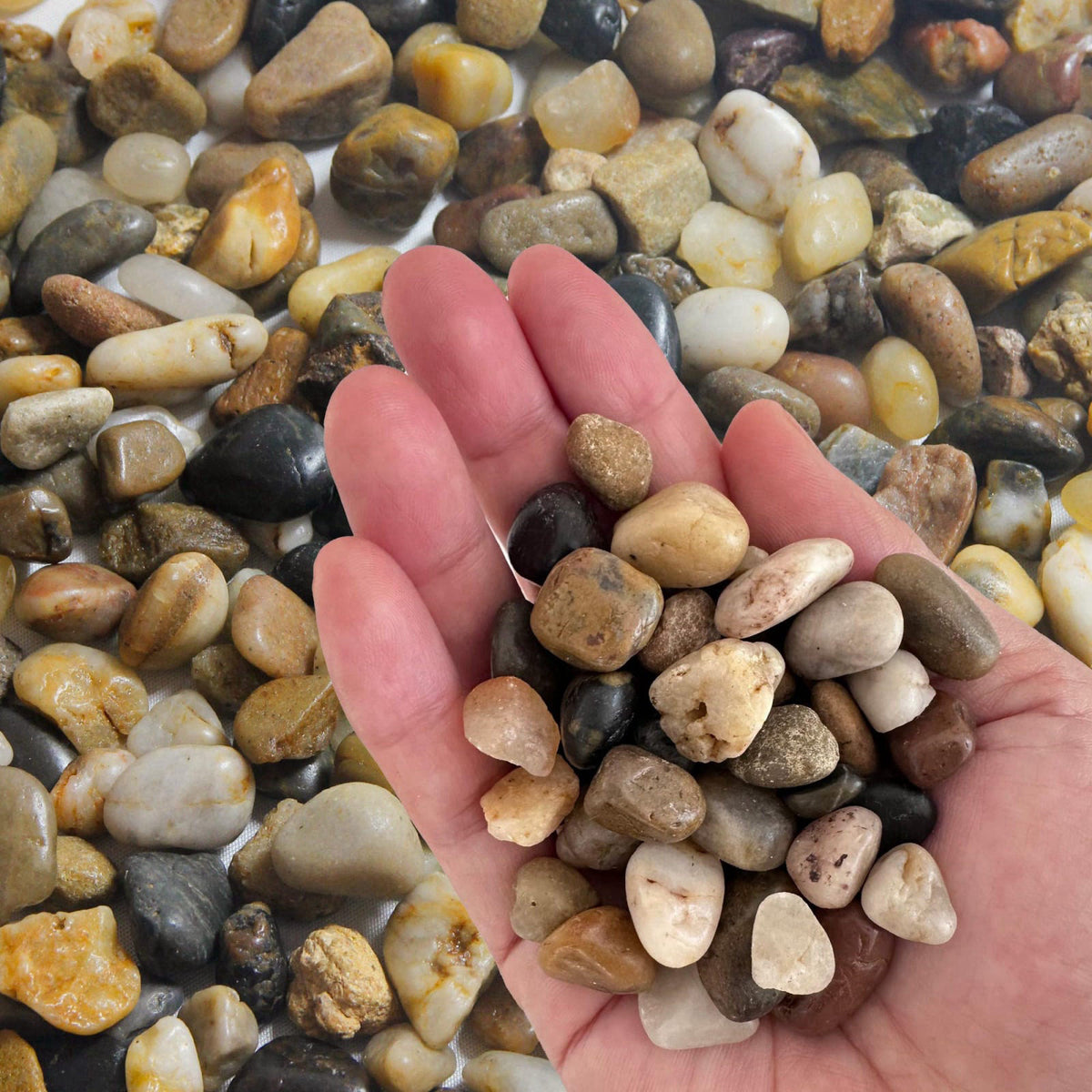 OUPENG 10lb Natural Decorative Polished Mixed Pebbles - Pebbles Polished Gravel,0.5-1.2 inch Small Decorative River Rock