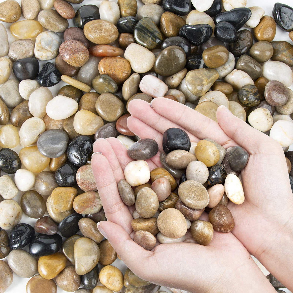 OUPENG – Pebbles on display