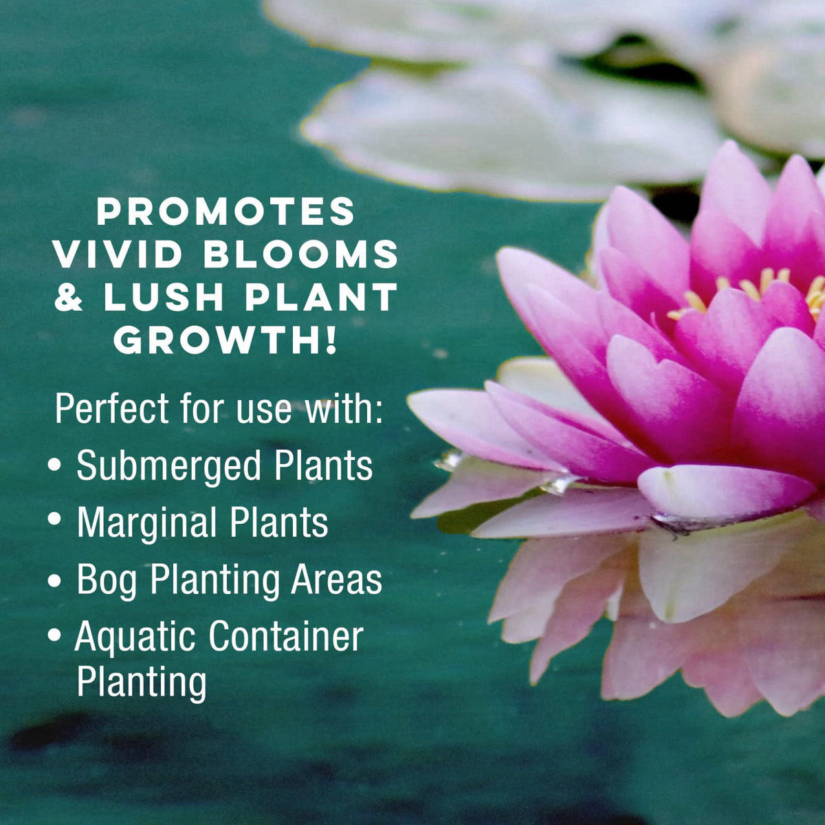 MICROBE-LIFT MLCAPM20 Concentrated Aquatic Planting Media for Accelerated Plant Growth in Ponds and Water Gardens, 20 Po