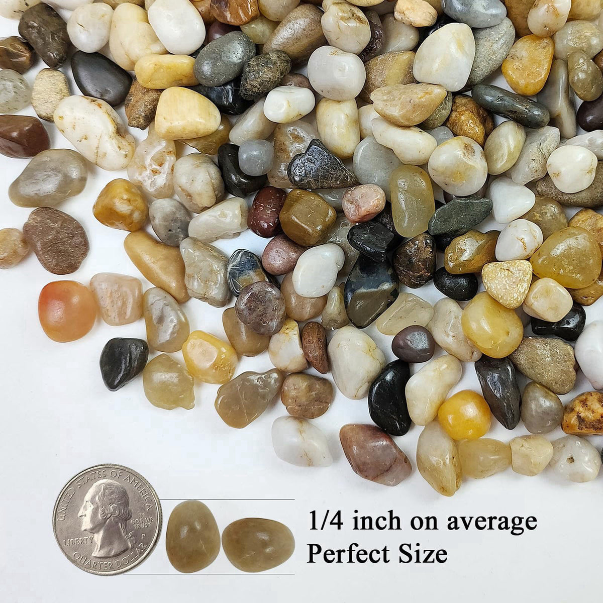 FANTIAN – Pebbles on display