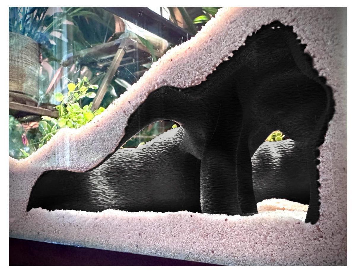 FROSTO Aquarium & Terrarium Corner Underground Cave – Faux Mangrove Root Hideout for Betta, Corydoras, Shrimp, Geckos & 