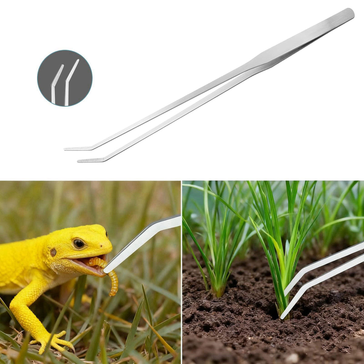 Carefree Fish 9IN1 Aquarium Cleaning Tools Long Handle Algae Scraper – full view, size 20~36In