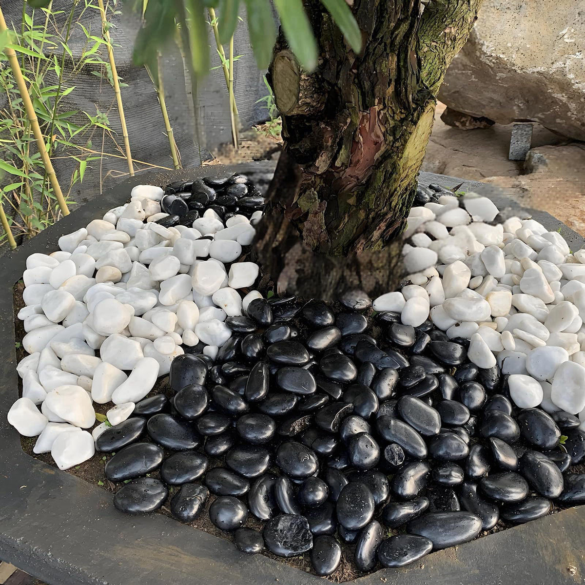 FANTIAN 20 lbs Black Stones for Landscaping, 2-3 Inch Large Rock for Plant – close-up detail