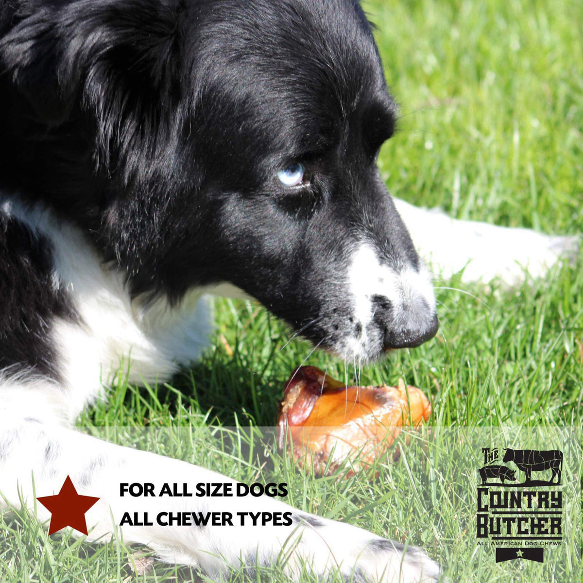 THE COUNTRY BUTCHER - Long Lasting Chew Bones for Dogs, Aggressive Chewers, Natural Beef Bones, Healthy Dog Chews, Tough