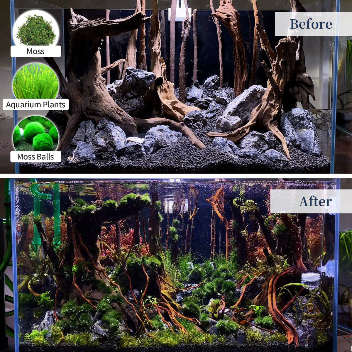 majoywoo Natural Large Driftwood for Aquarium Decor Fish Tank Decorations – alternate angle