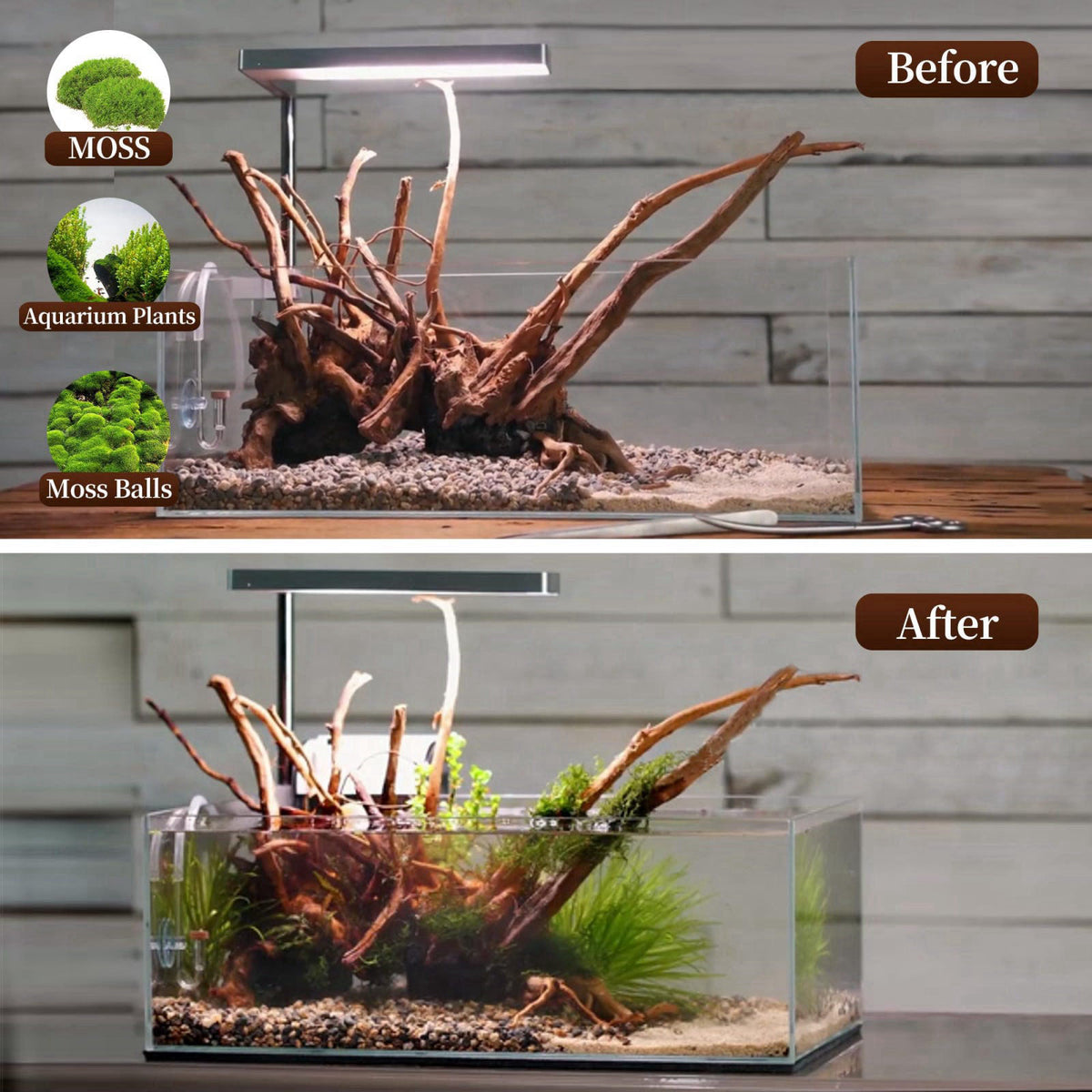 majoywoo Natural Driftwood for Aquarium Decor Fish Tank Decor Reptile Decor – back view and specifications