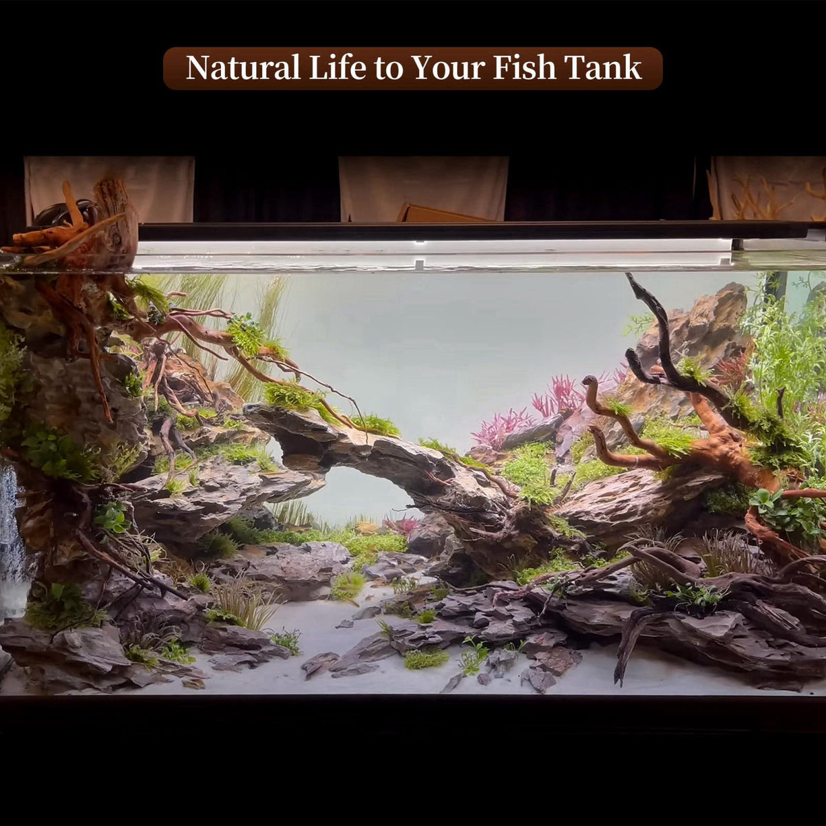 majoywoo Natural Driftwood for Aquarium Decor Fish Tank Decor Reptile Decor – alternate angle