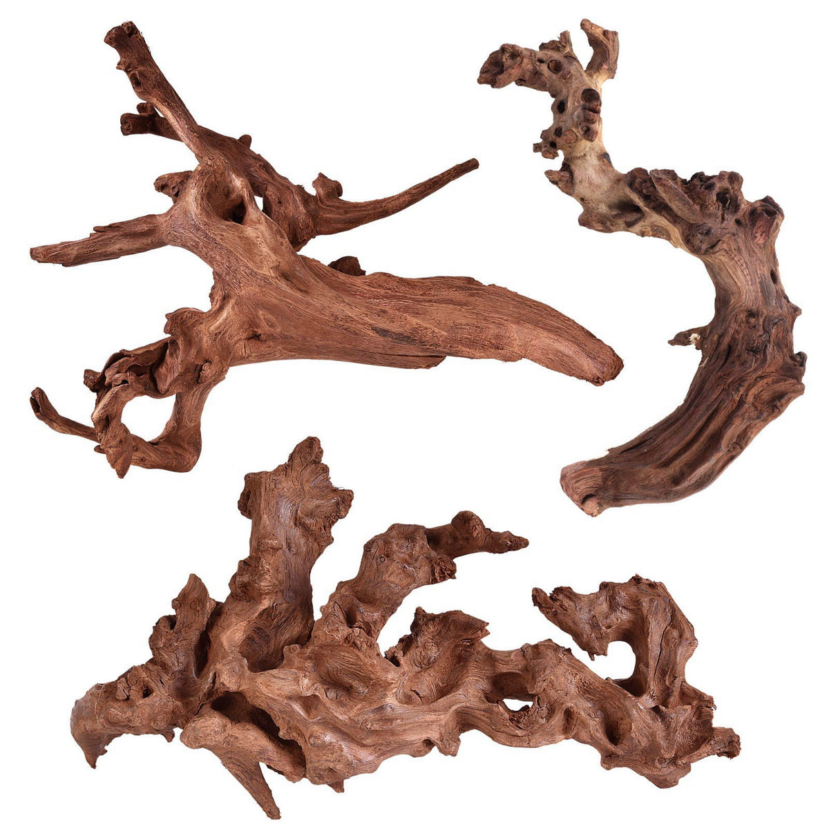 majoywoo – Wood on display