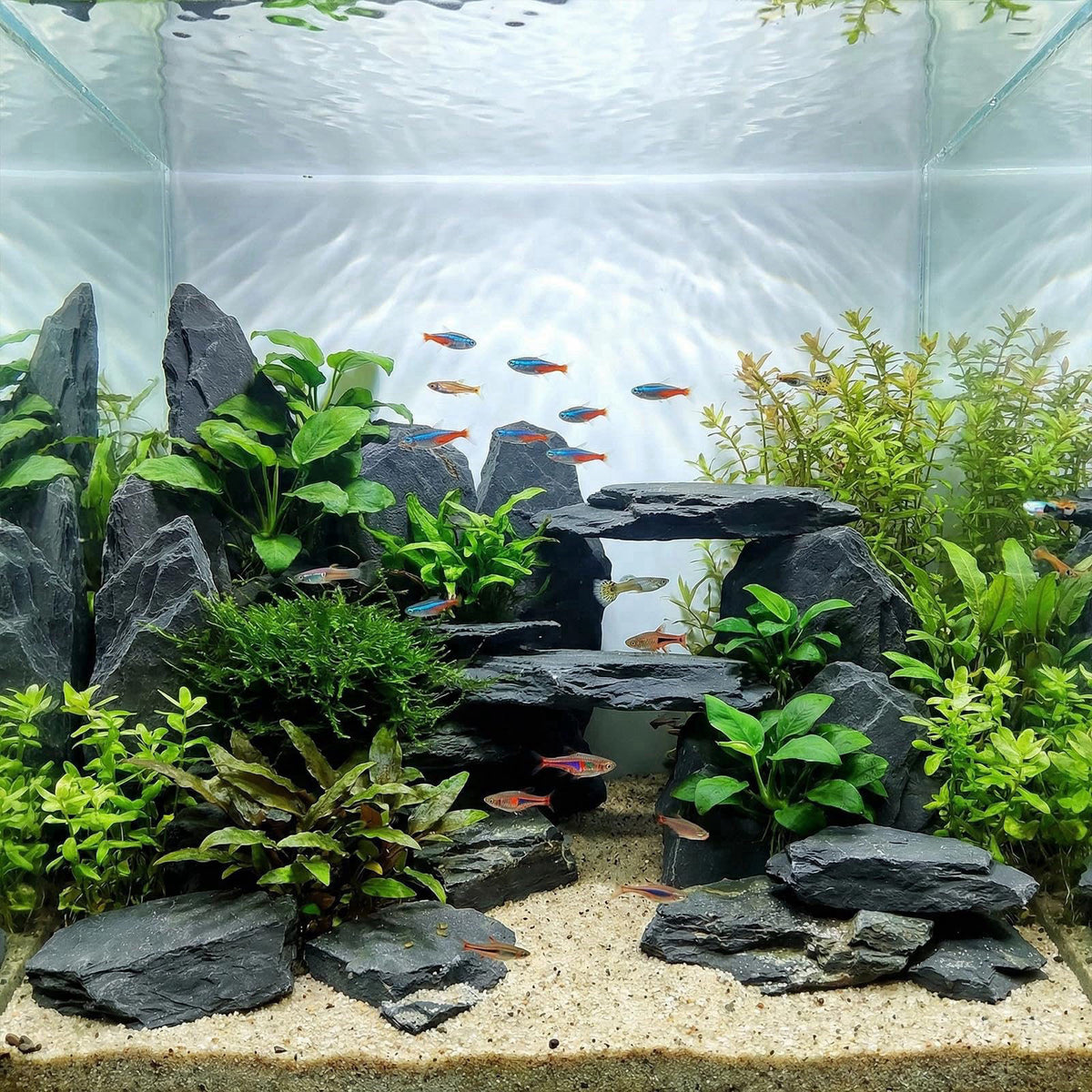YISZM Slate Rock for Aquarium, 5-7 Inch Polished Natural Stone Rocks,10 lbs – close-up detail