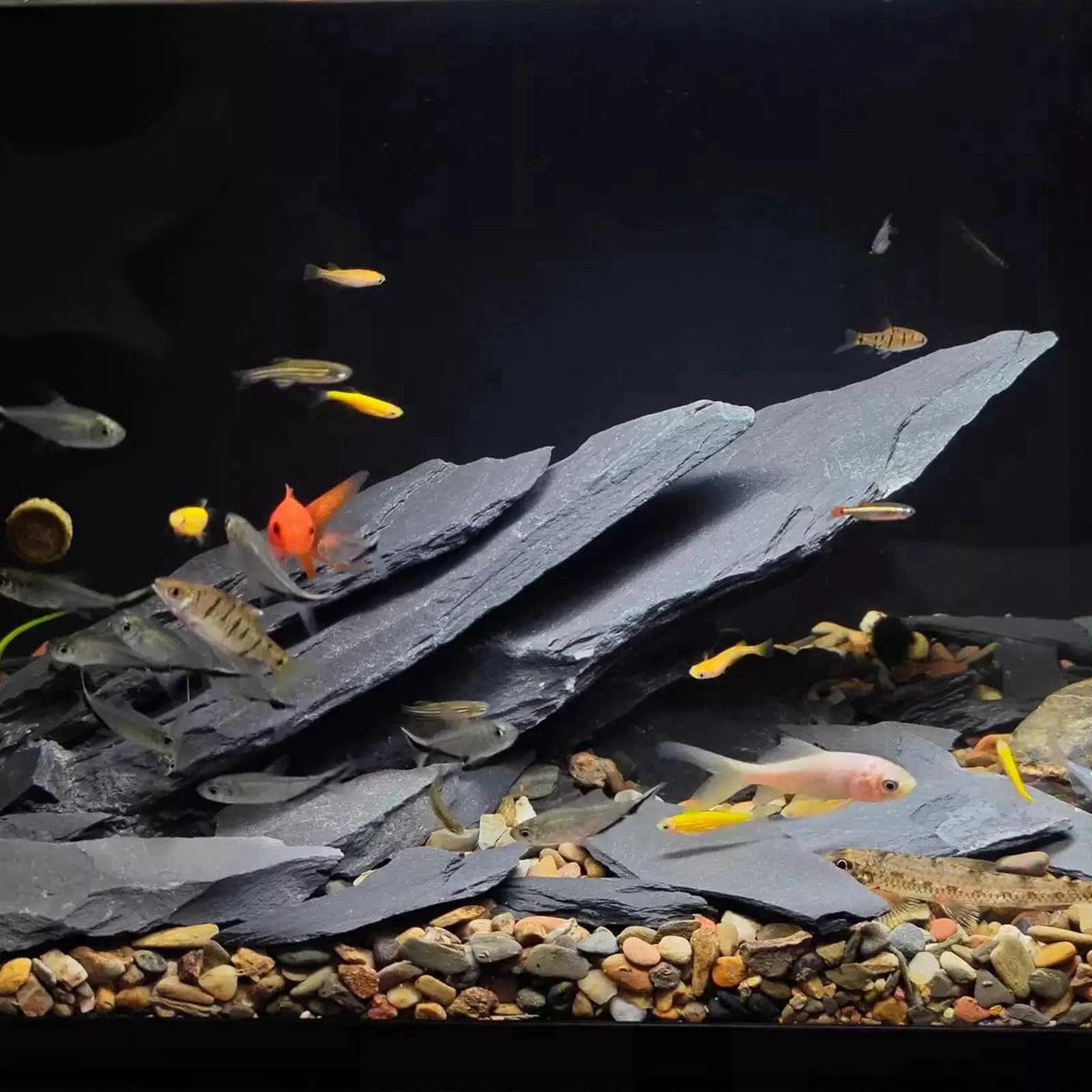 YISZM Slate Rock for Aquarium, 5-7 Inch Polished Natural Stone Rocks,10 lbs – full view