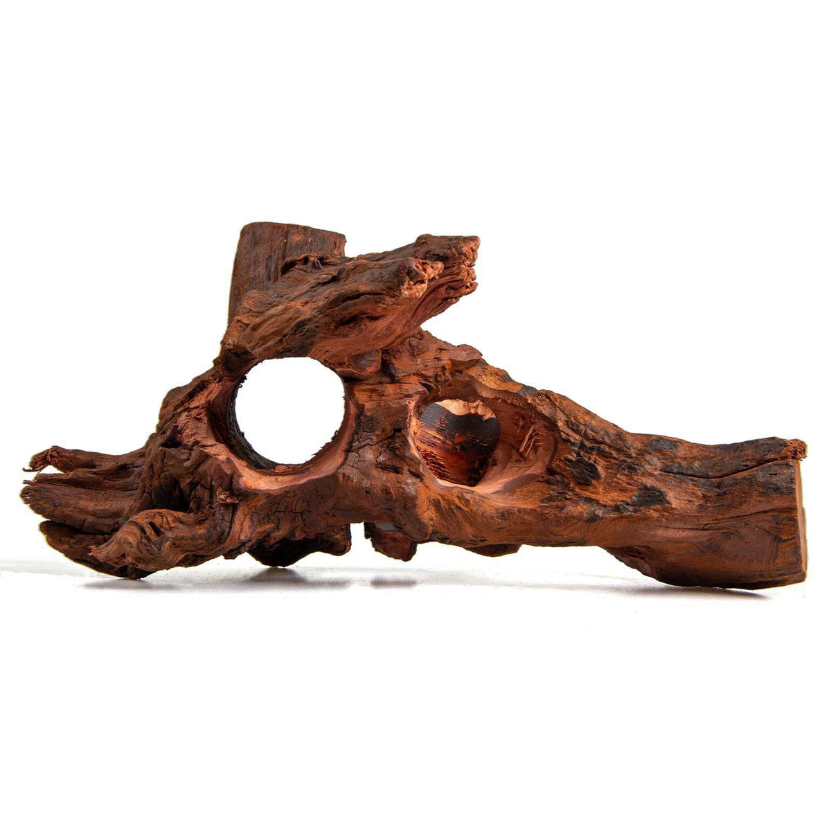 emours Porous Natural Driftwood for Aquarium, Aquascaping Driftwood with Holes, Hand-Selected Tunnels & Hideouts, Aquasc