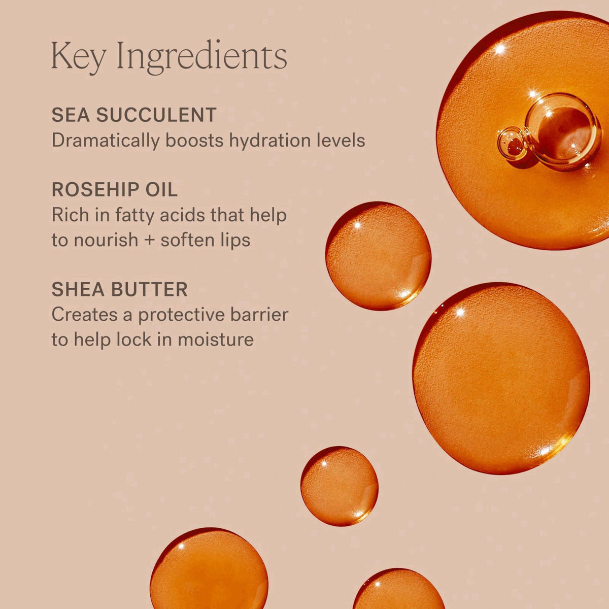 ILIA - Balmy Tint Hydrating Lip Balm (Lady) – back view and specifications