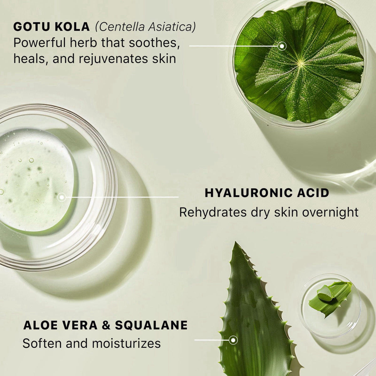 Beauty by Earth Hyaluronic Acid Moisturizer for Face - USA Made with Organic Ingredients – back view and specifications