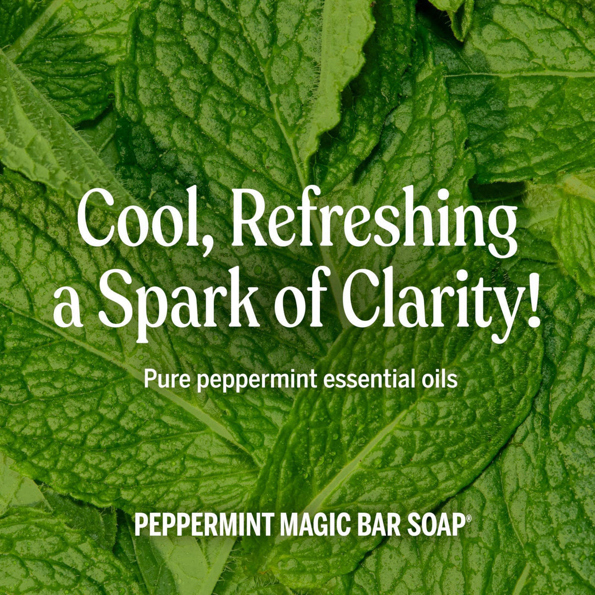 Dr. Bronner's Castile Bar Soap for Men & Women, Peppermint, 5 oz, 6-Pack – back view and specifications